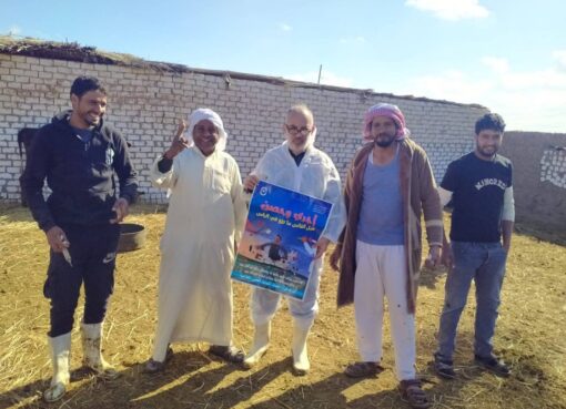 استمرار فعاليات الحملة الاستثنائية للتحصين ضد مرض الحمى القلاعية وحمى الوادي المتصدع بجميع مراكز المحافظة