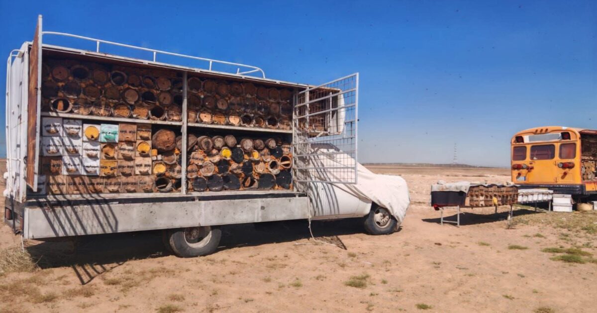 بيئة رابغ تنفّذ جولات ميدانية توعوية على مواقع النحالين بالمحافظة