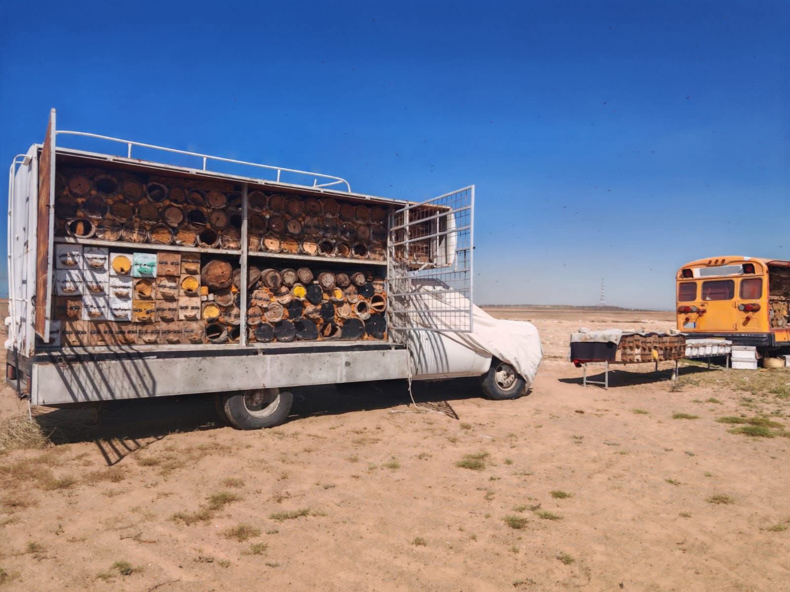 بيئة رابغ تنفّذ جولات ميدانية توعوية على مواقع النحالين بالمحافظة