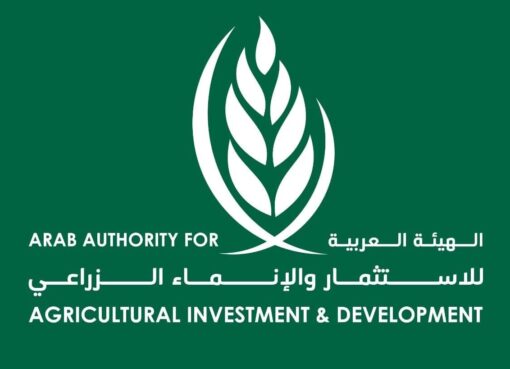 خبراء ومنظمات دولية يبحثون المبادرات العربية لتعزيز مستقبل الأمن الغذائي