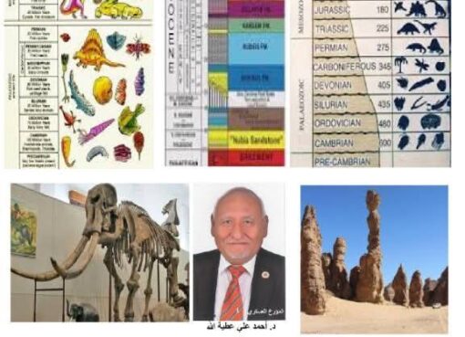 العمود الجيولوجى تبسيط العلوم آلجزء الثاني 