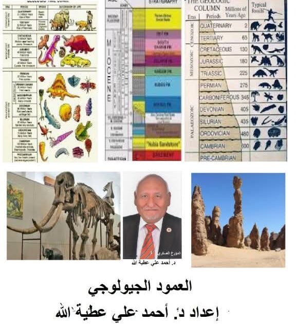 العمود الجيولوجى تبسيط العلوم آلجزء الثاني 