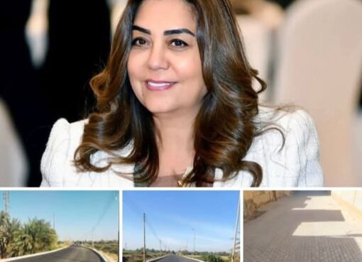 وزيرة التنمية المحلية: مرور ميداني للجنة من قطاع الإدارة لمتابعة موقف تنفيذ عدد من مشروعات الطرق الحيوية بأسوان