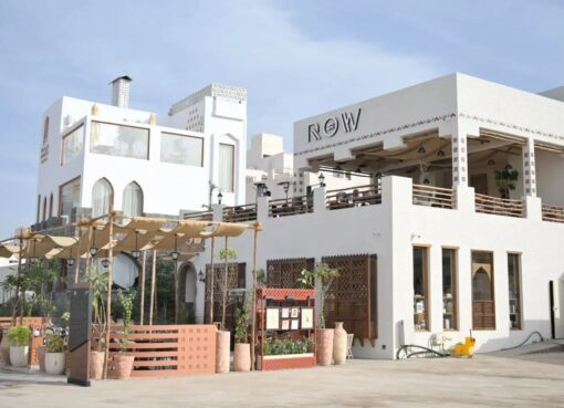 الشتاء في المدينة المنورة.. حكايا التراث وجمال الطبيعة في قلب "طيبة الطيبة"