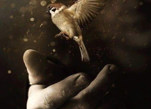 الصوت اللي محدش بيسمعه