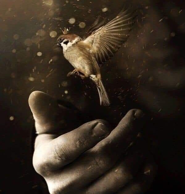 الصوت اللي محدش بيسمعه