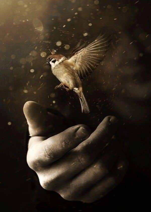 الصوت اللي محدش بيسمعه