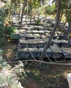 تنفيذ 336 مشروعًا اقتصاديًا بالمنوفية بتمويل 5.3 مليون جنيه خلال 2025