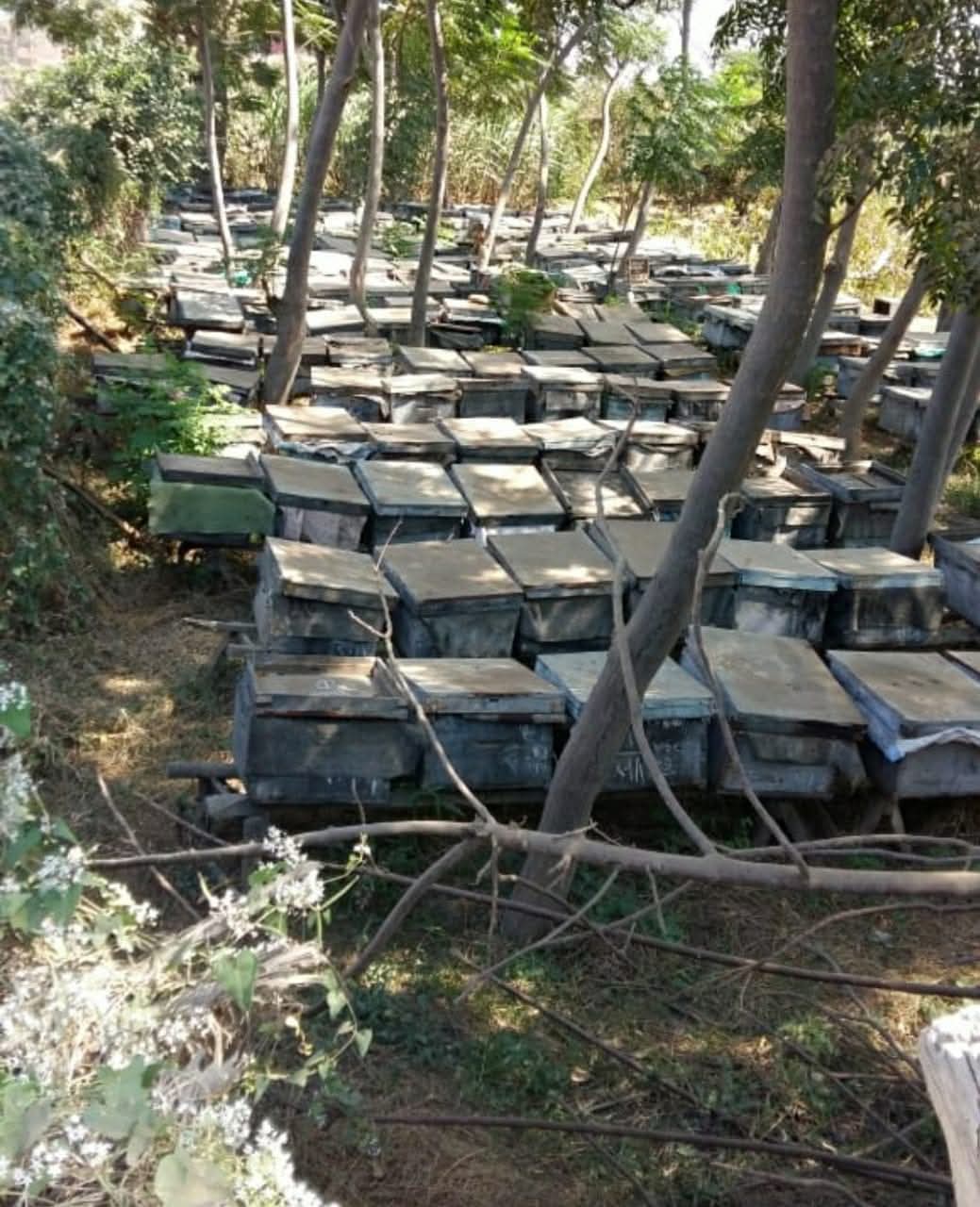 تنفيذ 336 مشروعًا اقتصاديًا بالمنوفية بتمويل 5.3 مليون جنيه خلال 2025