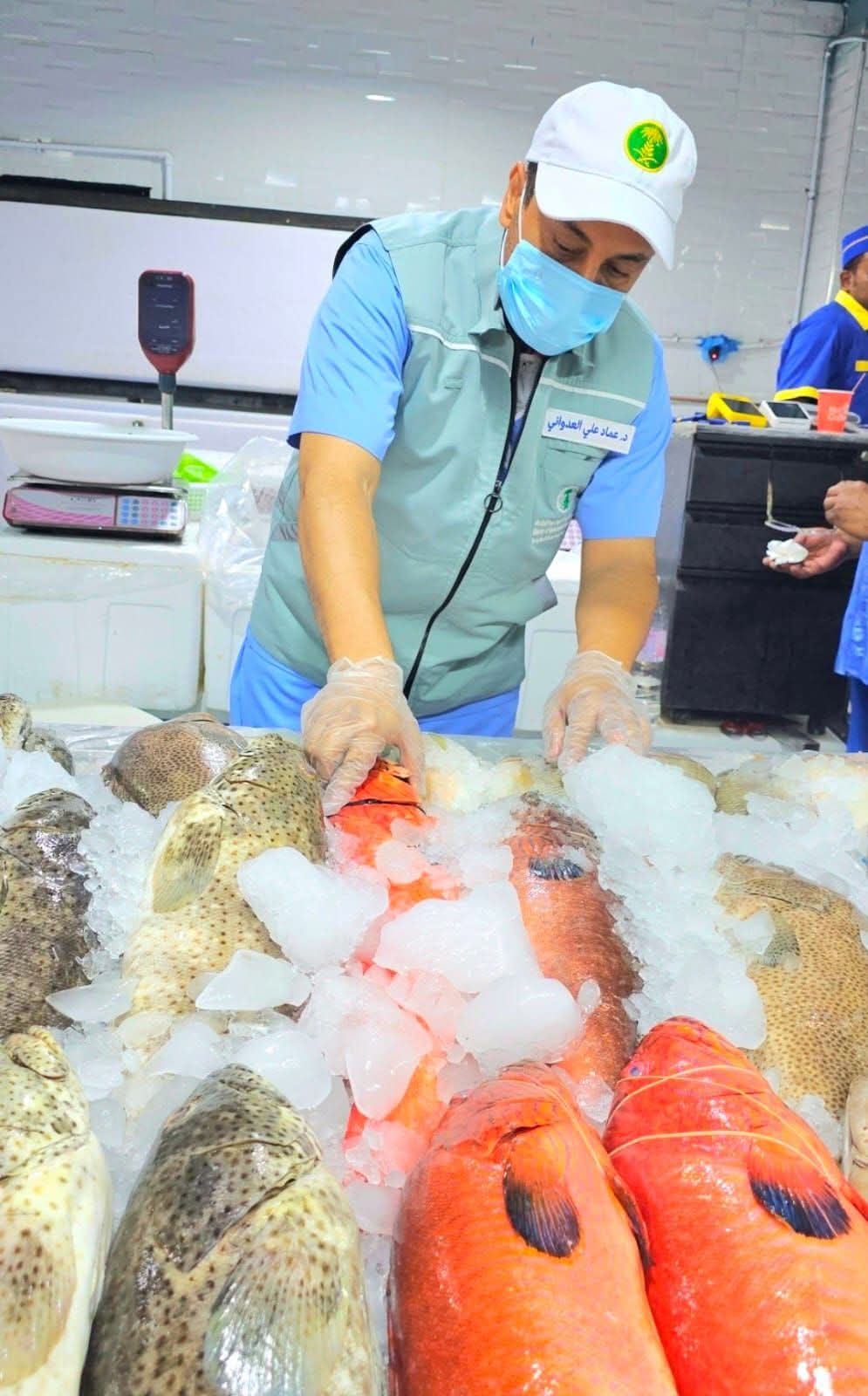 بيئة مكة تضبط مخالفات في أسواق الأسماك بجدة وتُتلف أكثر من طن أسماك غير صالحة