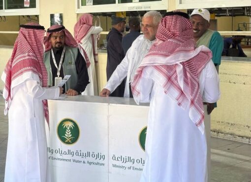 ‏بيئة الطائف تنفّذ ورشة توعوية بسوق الأنعام المركزي حول أسس اختيار الذبيحة السليمة