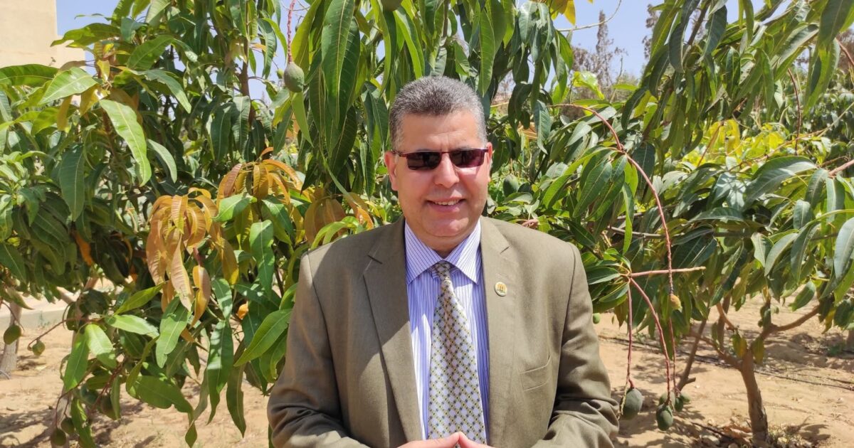 يخافون ربهم من فوقهم