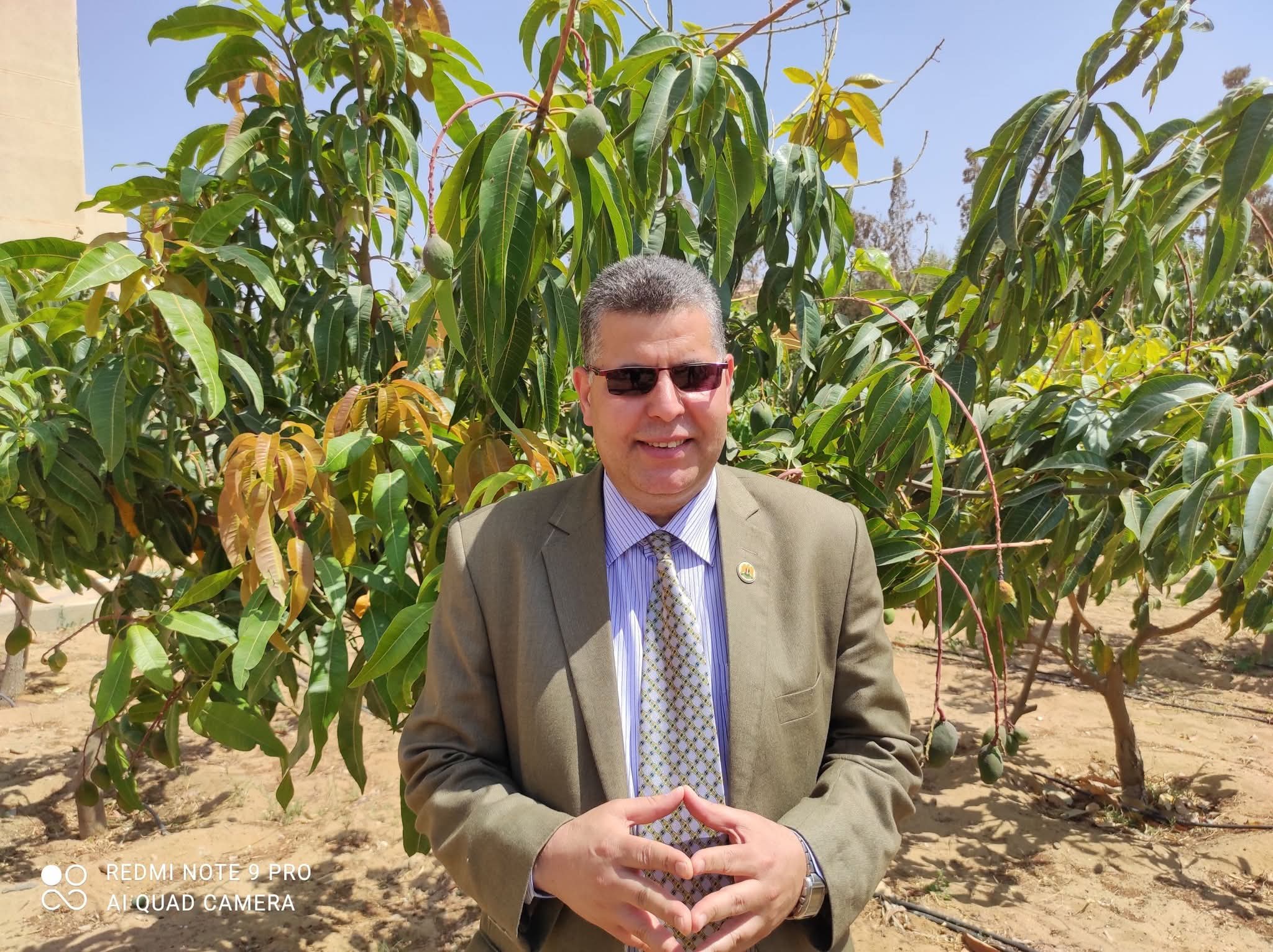 يخافون ربهم من فوقهم