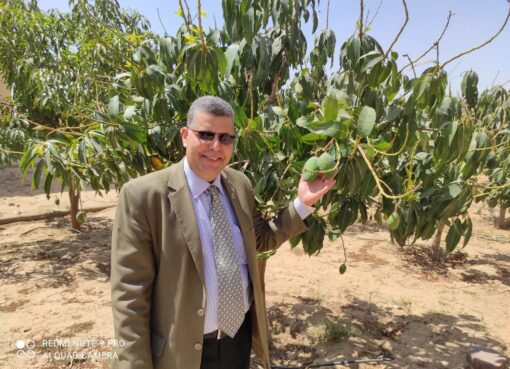 المقوم الأول للإنسان