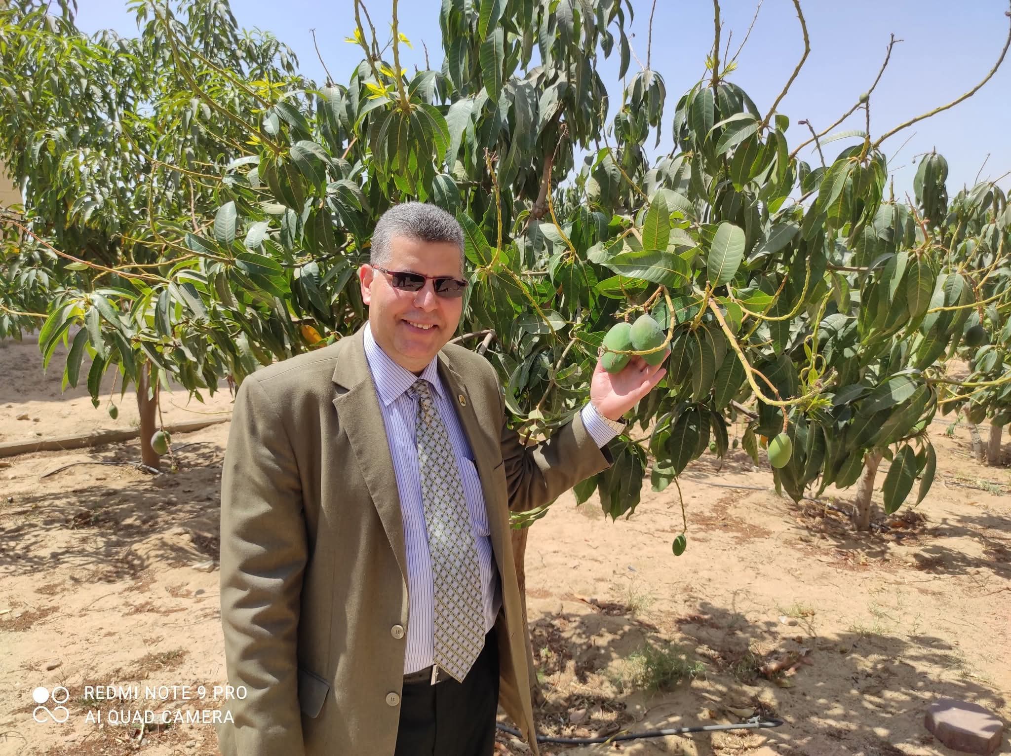 المقوم الأول للإنسان