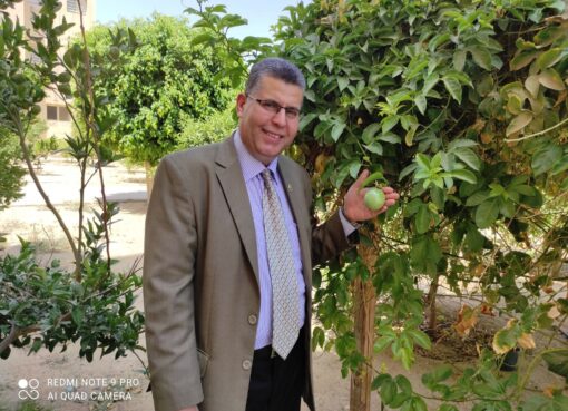 السعادة ليست في شهوات الدنيا وحطامها