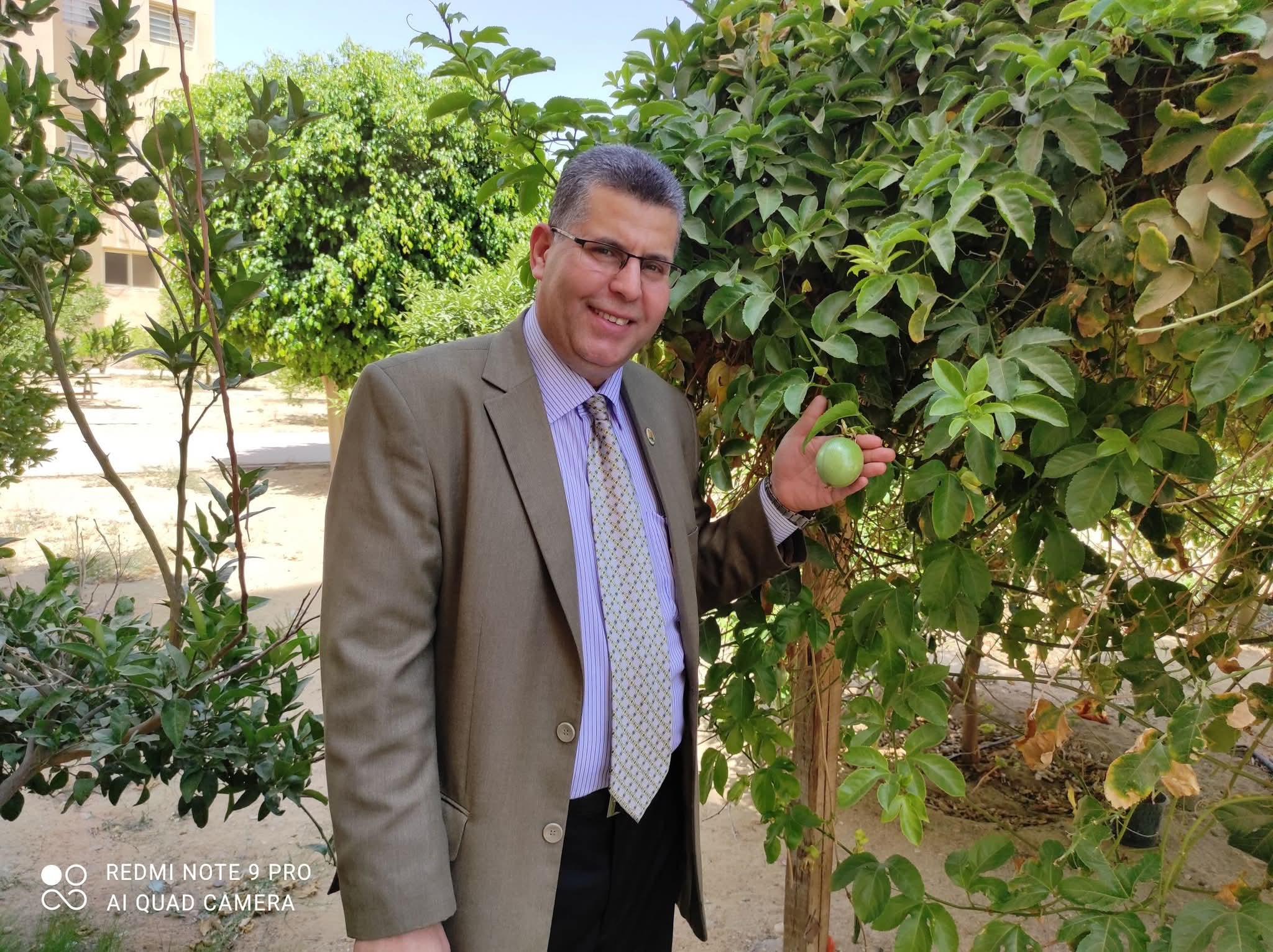 السعادة ليست في شهوات الدنيا وحطامها