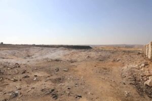 مستثمر بالمنيا يناشد التدخل لتنفيذ مشروع "سوق مواشي حضاري" برغم حصوله على أحكام قضائية