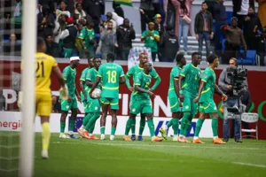 أسود التيرانجا لنصف النهائى 