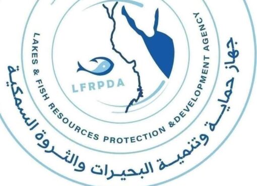 جهاز حماية وتنمية