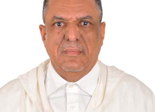 نائب رئيس المنظمة العربية للسياحة للتعاون الدولي يحظى بثقة رئيس الجمهورية الاسلامية الموريتانية ويعين سفيرا متجولا