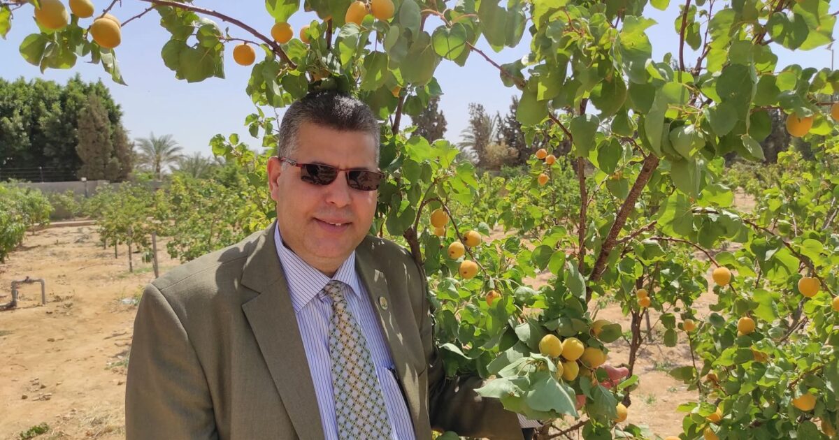 رأي الشرع في التعطر والتطيب للنساء