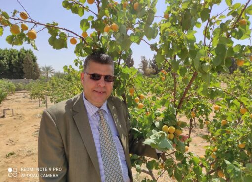 رأي الشرع في التعطر والتطيب للنساء