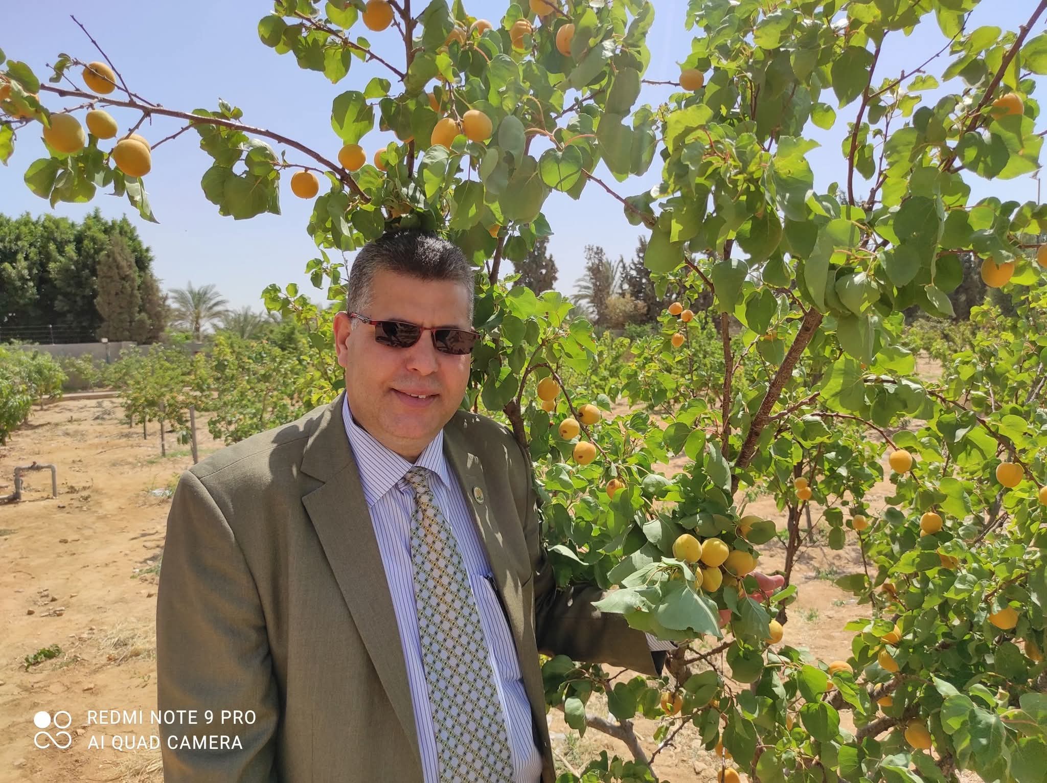 رأي الشرع في التعطر والتطيب للنساء