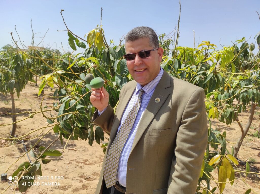 القوامة شرط من شروط الزواج الناجح