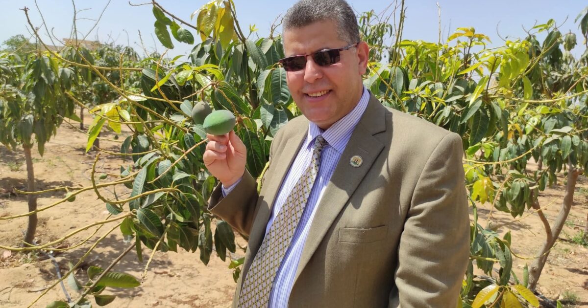 القوامة شرط من شروط الزواج الناجح