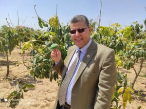 القوامة شرط من شروط الزواج الناجح