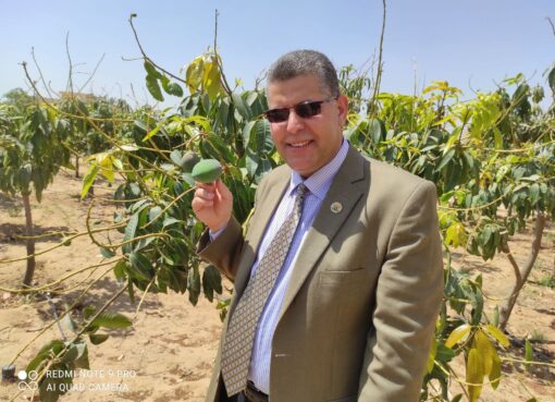 القوامة شرط من شروط الزواج الناجح