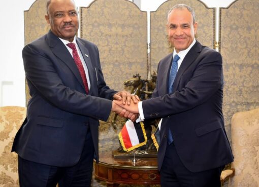 وزير الخارجيةالمصري يبحث مع نظيره السوداني مستجدات الأوضاع في السودان.