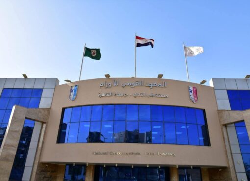 رئيس جامعة القاهرة يستعرض تقريرا شاملا مدعم بالأرقام والإحصائيات عن المعهد القومي للأورام خلال عام 2025