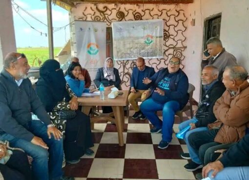 زراعة الإسماعيلية تنفذ مدرسة حقلية لمحصول القمح ضمن المرحلة الرابعة لمبادرة «ازرع» بقرية جلبانة