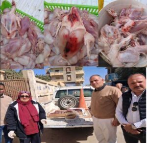 استعدادًا لرمضان.. بيطري الفيوم يعلن رفع درجة الاستعداد القصوى ويُكثف حملات ضبط الأسواق