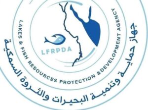 جهاز حماية وتنمية البحيرات يواصل أعمال الحصاد ويحقق إنتاج 33 طنًا من مزرعة المنزلة السمكية