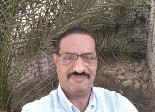 النهضة الزراعية خطوة مهمة لتحقيق التنمية المستدامة فما هي فوائدها