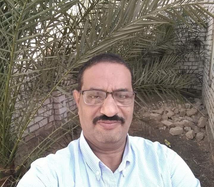 النهضة الزراعية خطوة مهمة لتحقيق التنمية المستدامة فما هي فوائدها