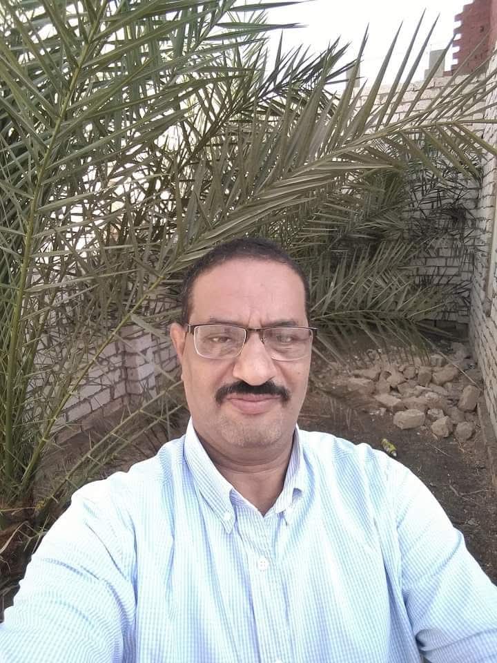 النهضة الزراعية خطوة مهمة لتحقيق التنمية المستدامة فما هي فوائدها