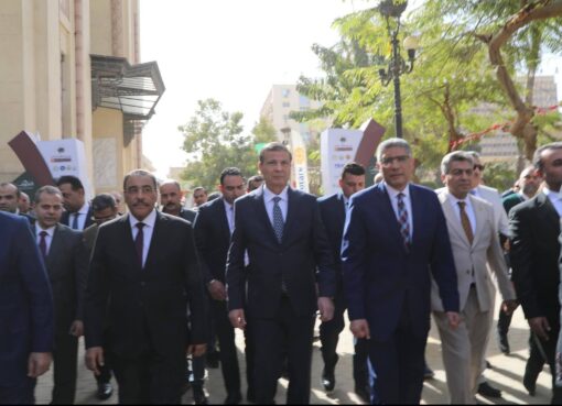 مصر تتصدر العالم في إنتاج التمور بـ2 مليون طن سنويًا