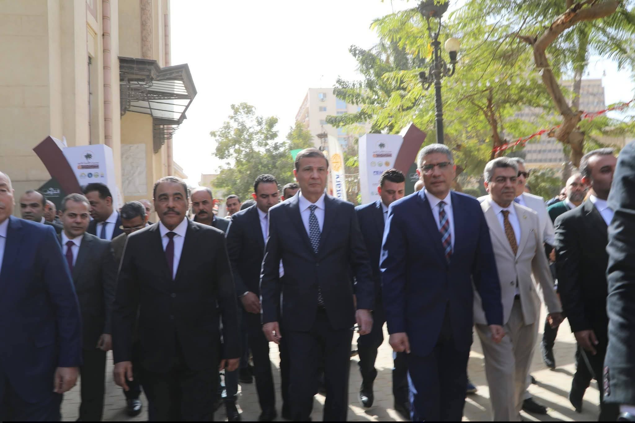 مصر تتصدر العالم في إنتاج التمور بـ2 مليون طن سنويًا