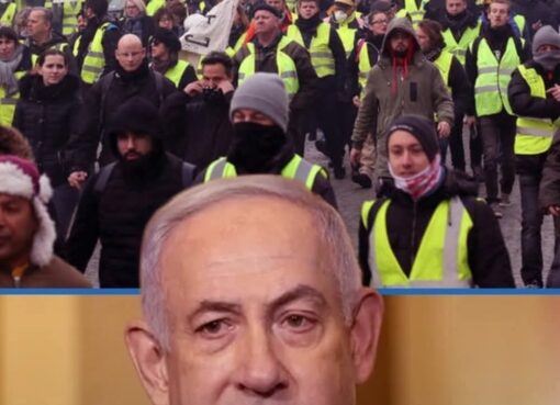 الجهل لا يرتبط المؤهلات… بل ضمور الوعي