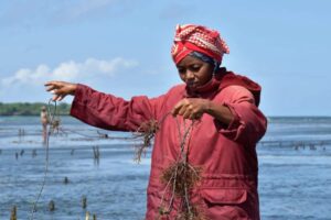 إيطاليا تعزز انقسام "أرض الصومال" وتدعم مشروعًا لتعزيز قطاع الصيد