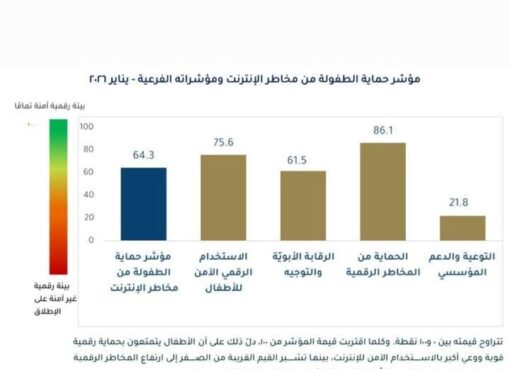 مركز المعلومات ودعم اتخاذ القرار يطلق العدد الأول من مؤشر حماية الطفولة من مخاطر الإنترنت