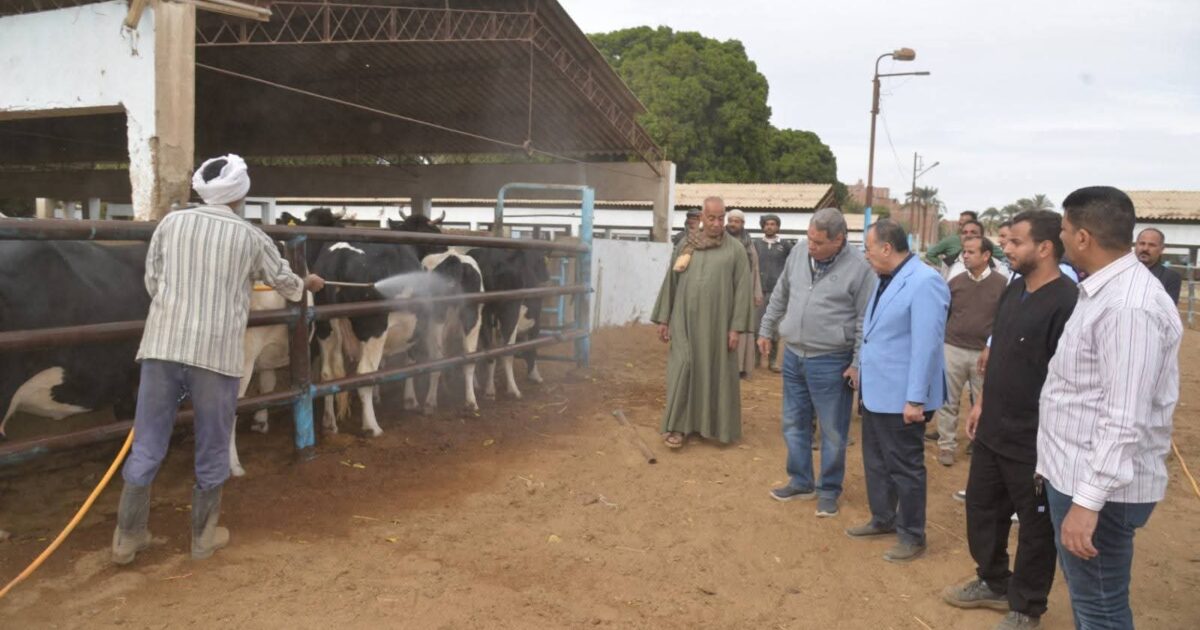 محافظ أسيوط يتفقد مزرعة أبنوب الحمام لضمان توفير اللحوم البلدية للمواطنين بأسعار مخفضة