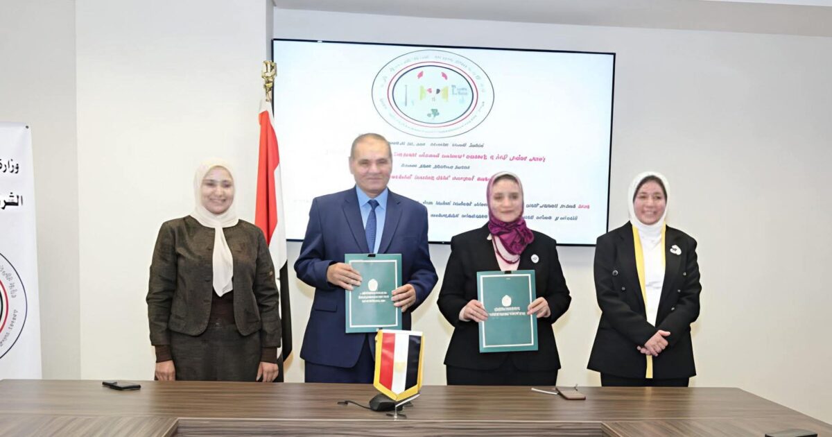 المصرية لنقل الكهرباء توقع بروتوكول تعاون مع القومية الكهروتقنية (IEC) ️