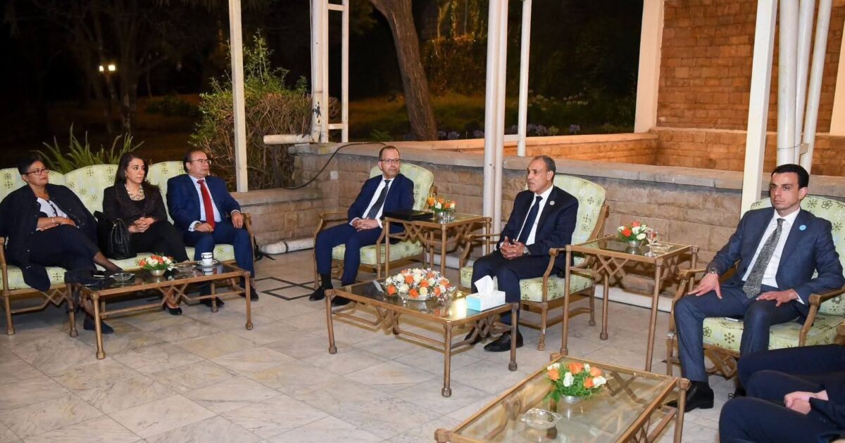 وزير الخارجية يلتقى أبناء الجالية المصرية فى أديس أبابا