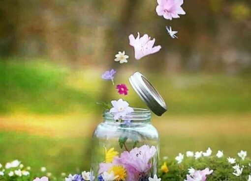 مايحتاجه الانسان من وقت لأخر