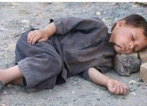 أطفال الشوارع في مصر: قنابل موقوتة أم زهور في مهب الريح؟